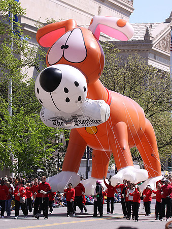 the Cherry Blossom Parade